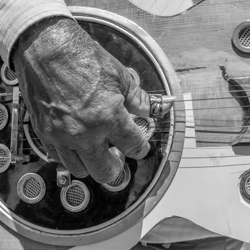 Acoustic guitar