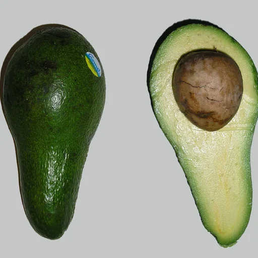Avocado