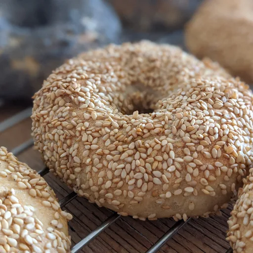 Bagel