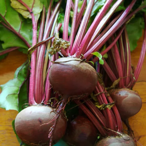 Beet
