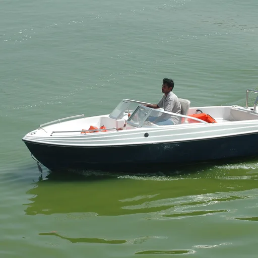 Boat (small motor)