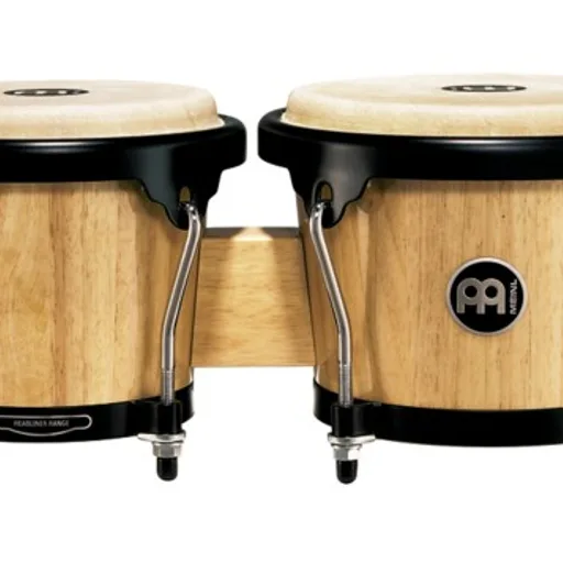 Bongo drums