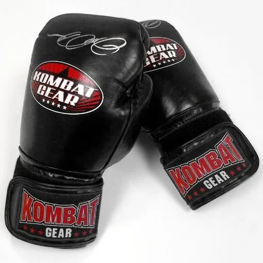 Boxing gloves