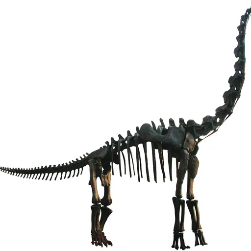 Brachiosaurus