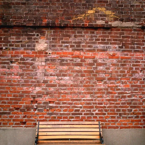 Clay brick