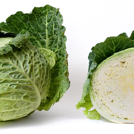 Cabbage