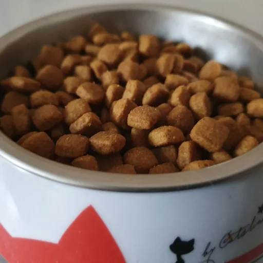 Cat food bag