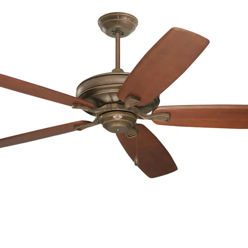 Ceiling fan