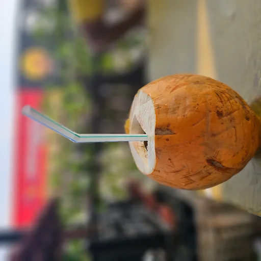 Coconut water carton