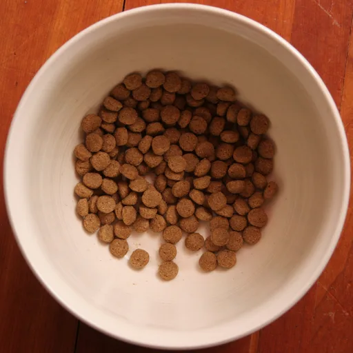 Dog food bag