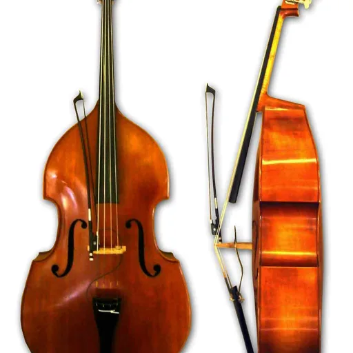 Double bass