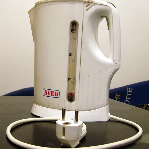 Electric kettle
