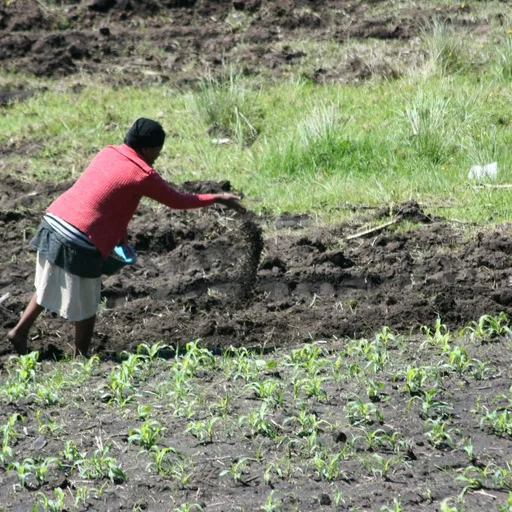 Fertilizer bag