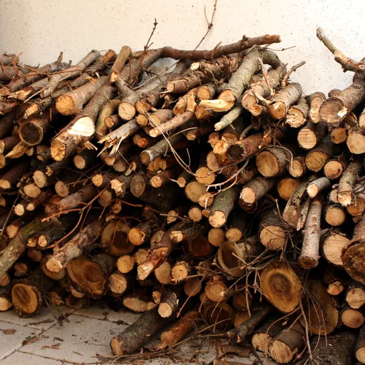 Firewood bundle