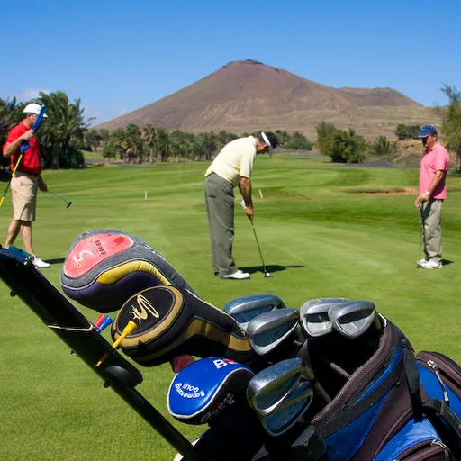 Golf bag