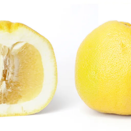 Grapefruit
