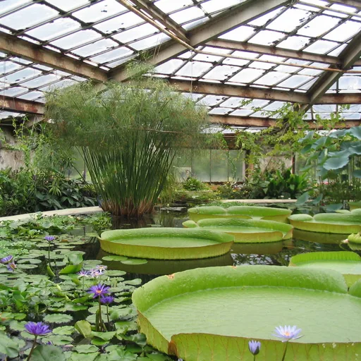 Greenhouse panel
