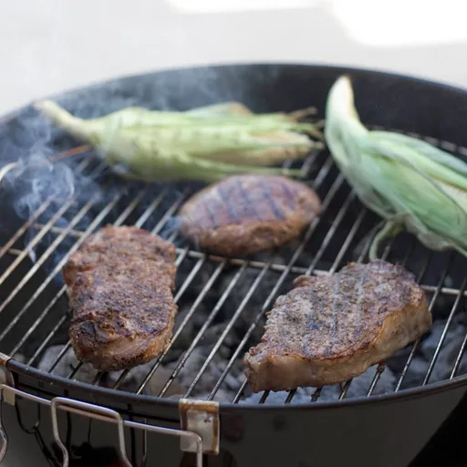 Grill (charcoal)
