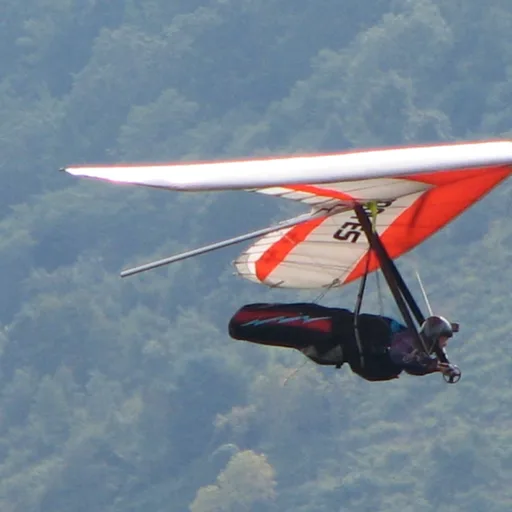 Hang glider