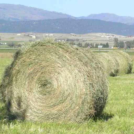 Hay bale