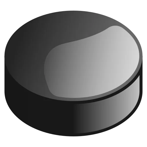 Hockey puck