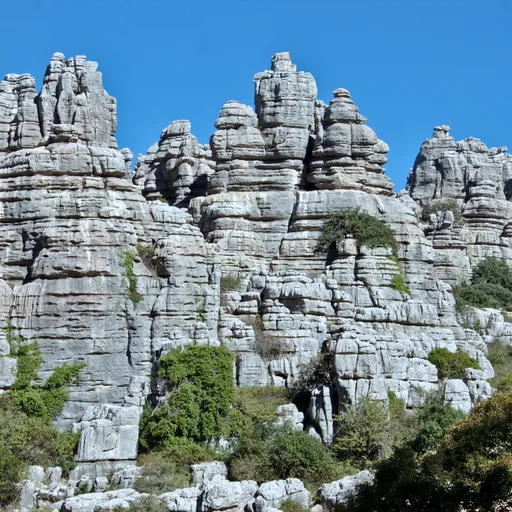 Limestone rock