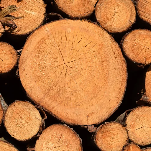 Log