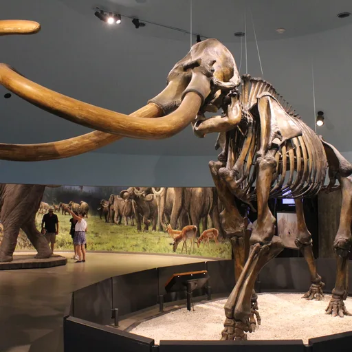 Mammoth