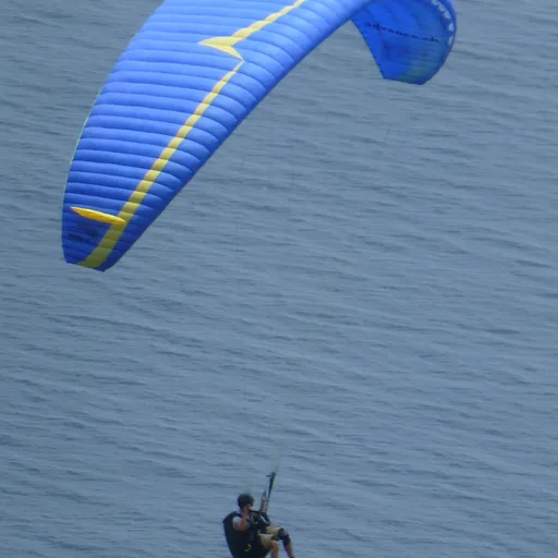 Paraglider
