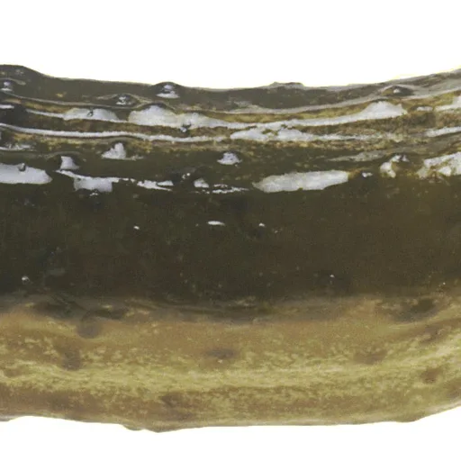Pickle jar