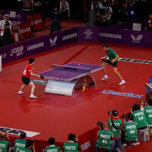 Ping pong table
