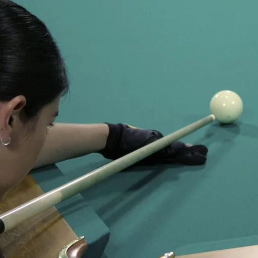 Pool cue
