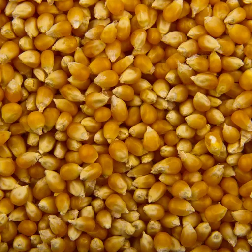 Popcorn bag