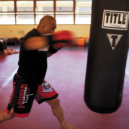 Punching bag