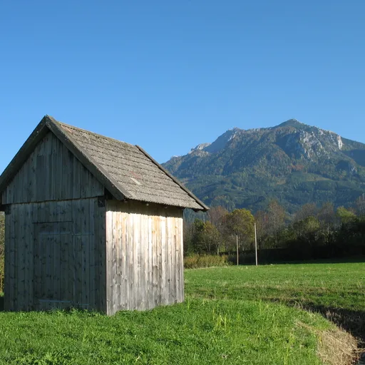 Shed (garden)