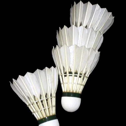 Shuttlecock