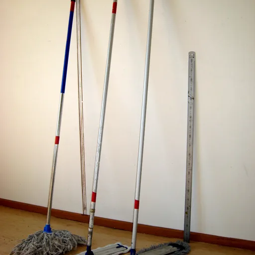 Steam mop