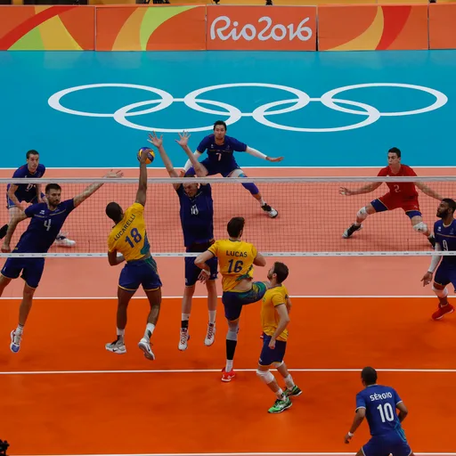 Volleyball net