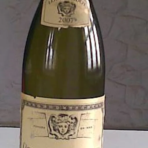 Wine bottle
