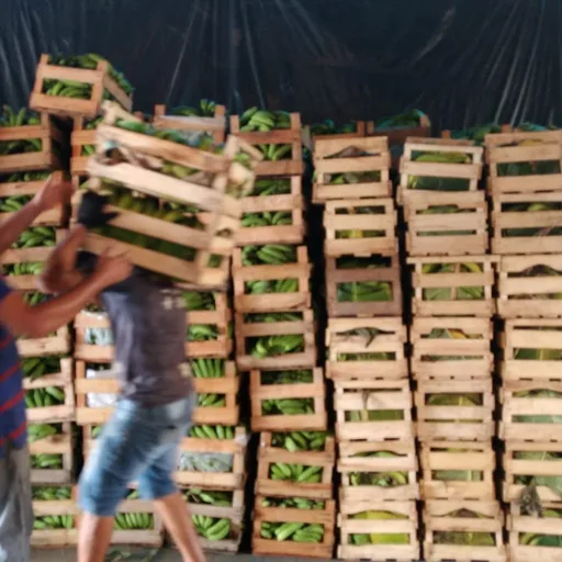 Wooden crate